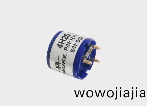 硫化(hua)氫(qing)傳感(gan)器