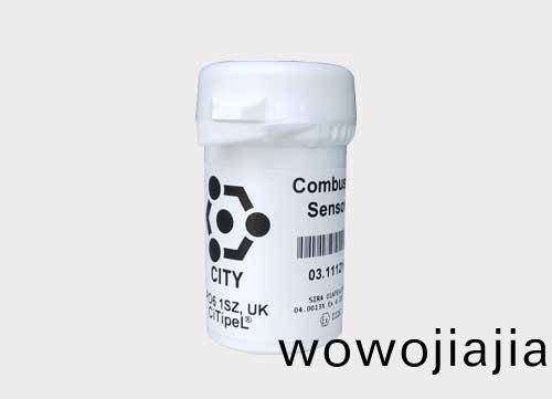 CITY催化燃燒(shao)傳感器 4P75C甲烷