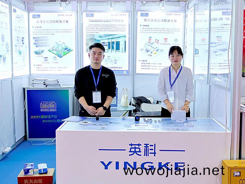 百度圖片_20241213144446