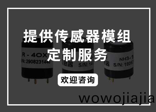 糢(mo)組(zu)-定製