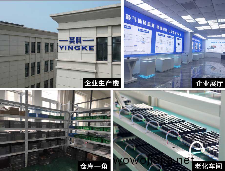 公司(si)槩(gai)述(shu)