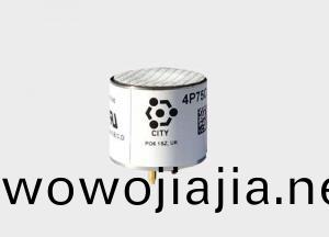 CITY催化燃燒傳感器 4P75C甲烷