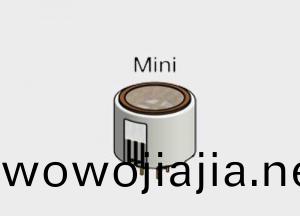 CITY 砷化氫氣體傳感器